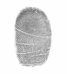 fingerprint-6005985